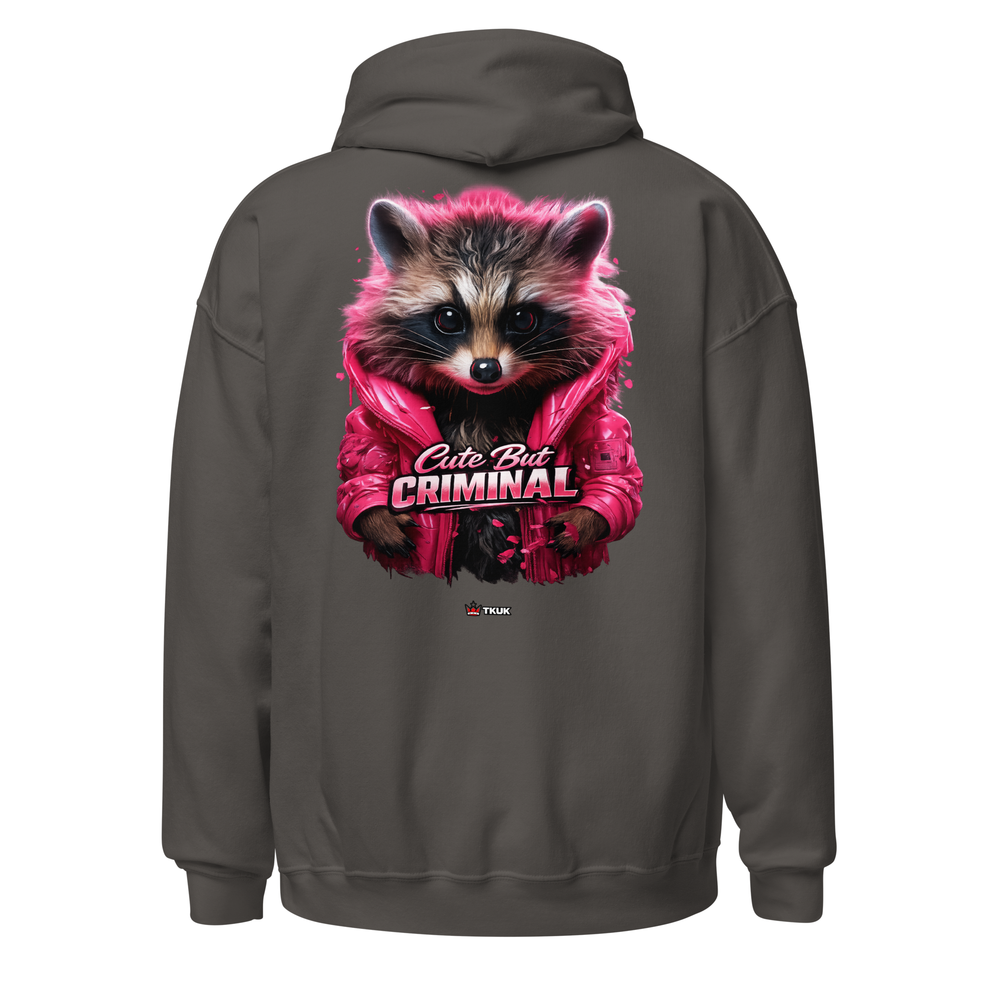 cute but criminal raccoon hoodie