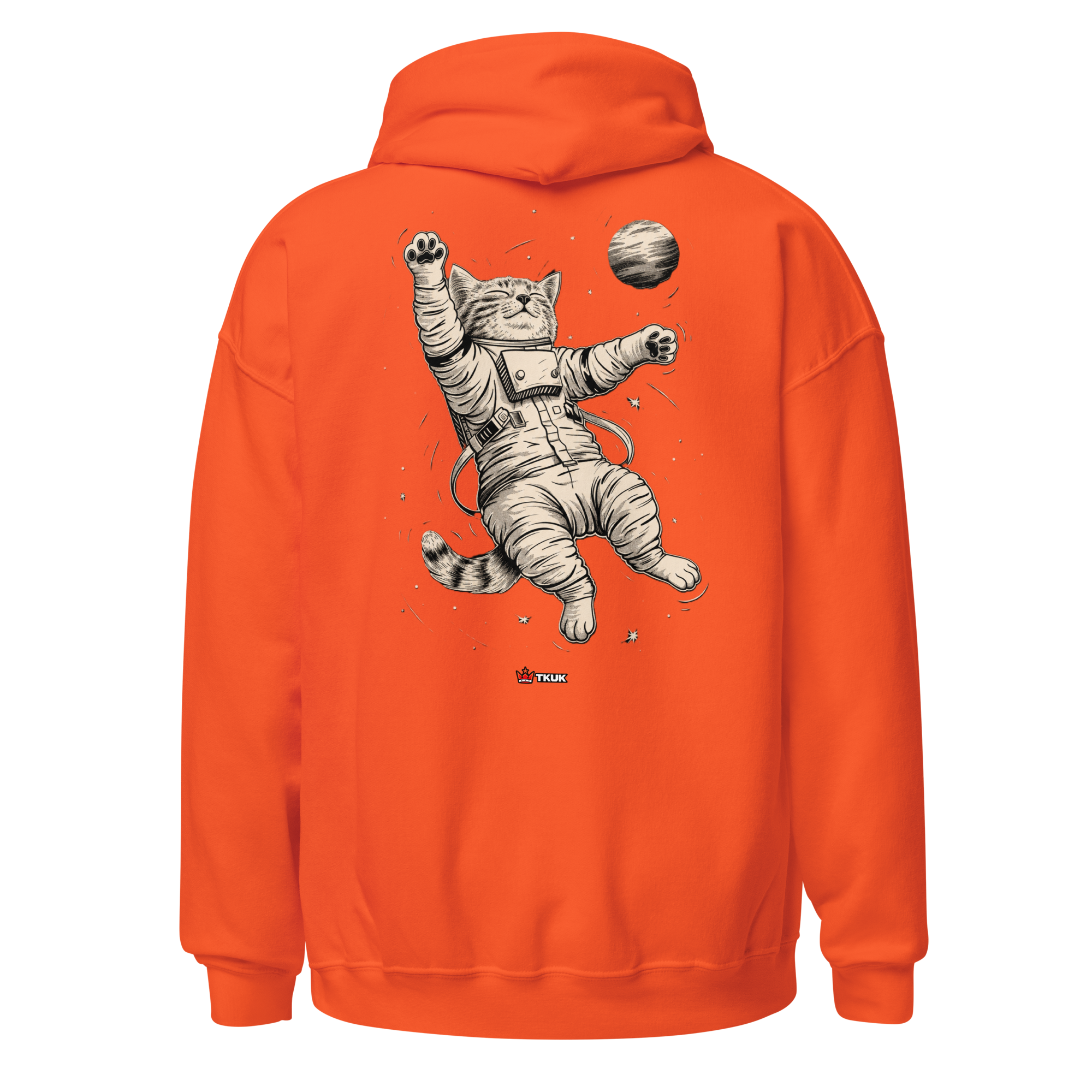 cat in space hoodie