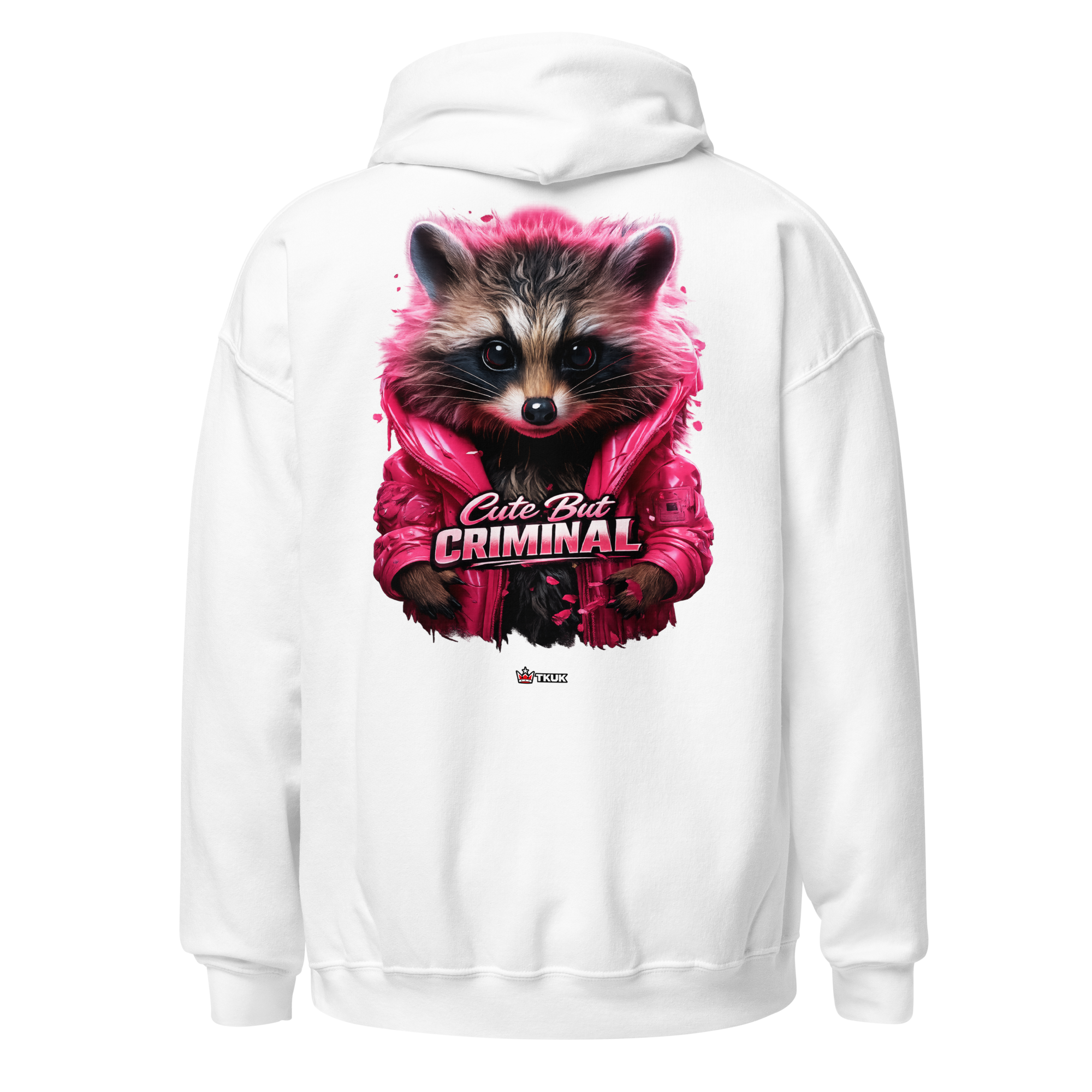 cute but criminal raccoon hoodie